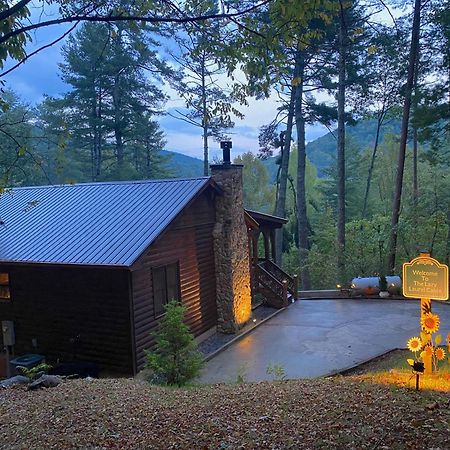 The Cozy Lazy Laurel With Year-Round Mountain Views, Hot Tub, Fire Pit Villa Cherry Log Eksteriør bilde