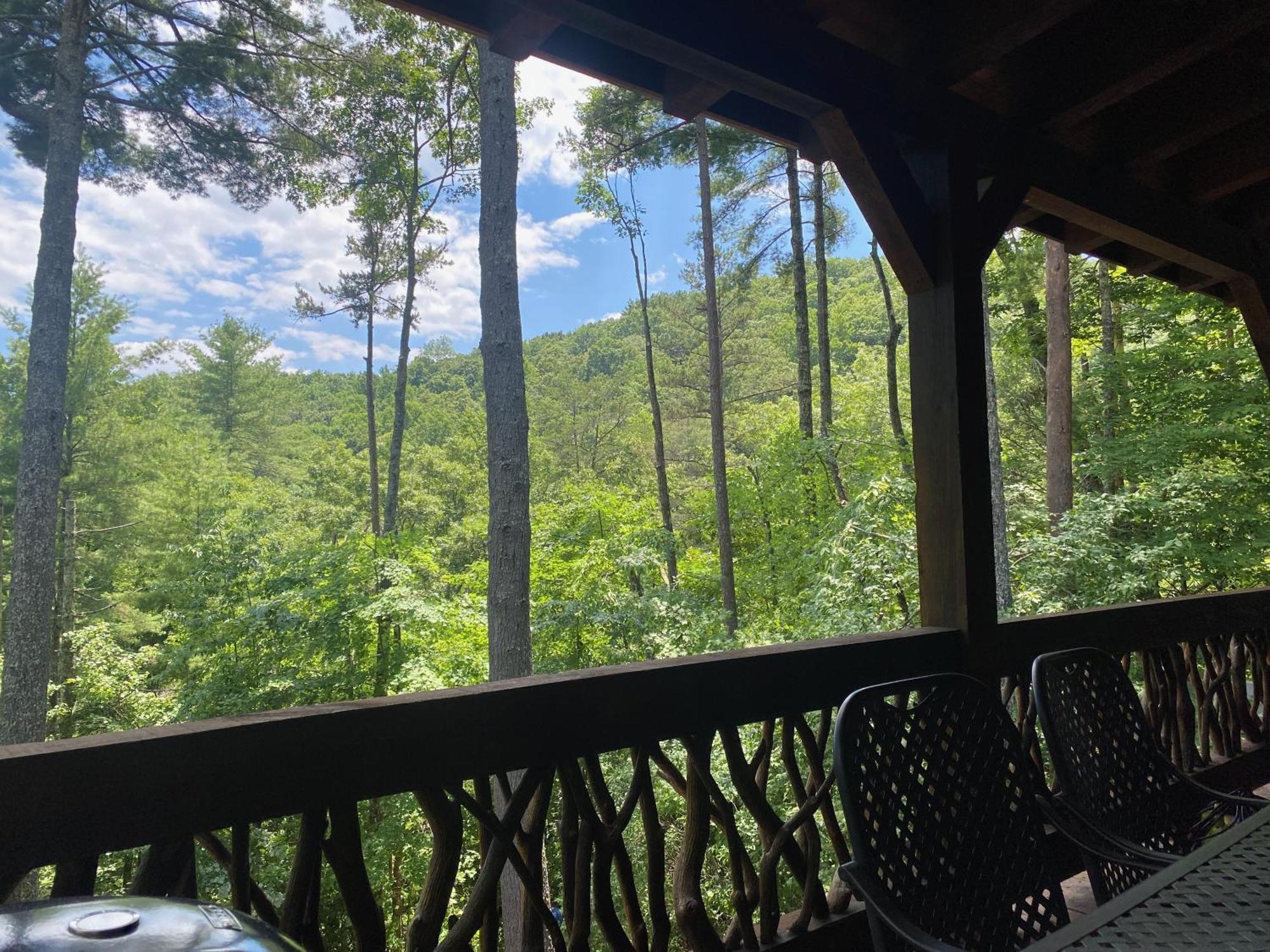 The Cozy Lazy Laurel With Year-Round Mountain Views, Hot Tub, Fire Pit Villa Cherry Log Eksteriør bilde